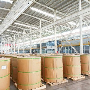 Wholesale professional Color Coated Aluminum Coils Brushed Rolled Coils supplier